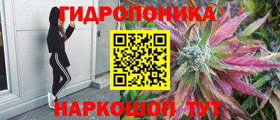 героин Кимры