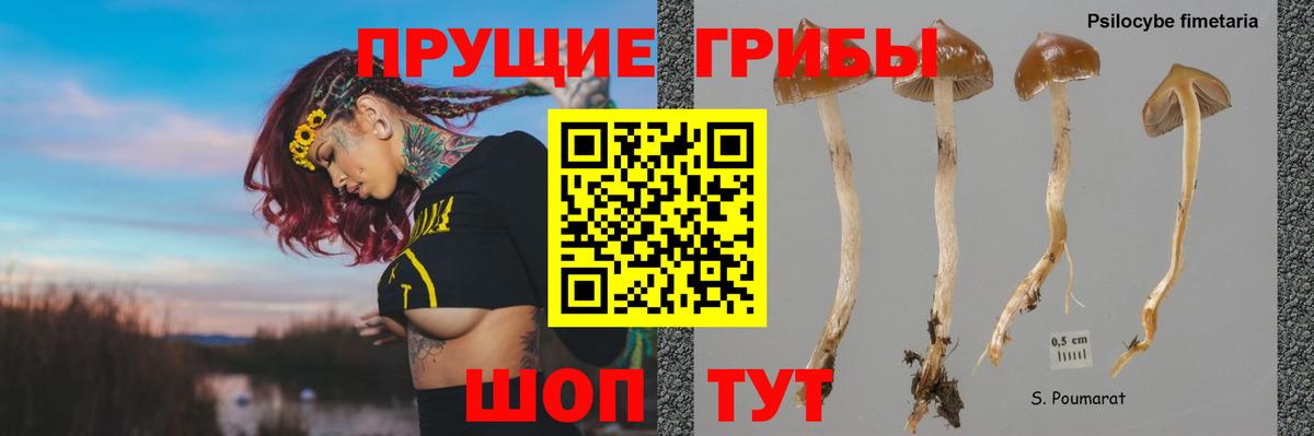 Псилоцибиновые грибы мухоморы Люберцы